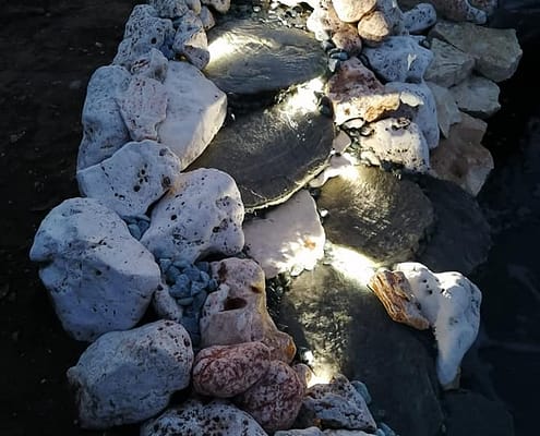 261762906_380815673784012_1363048311587552547_n